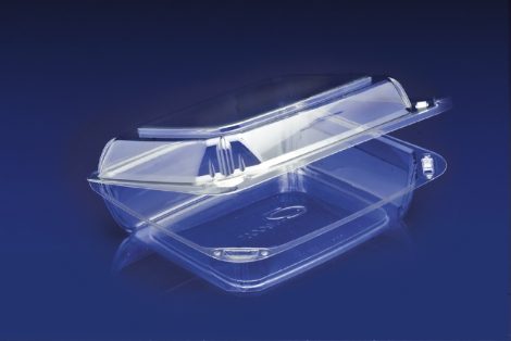 CBC-8X2 <br></br>ClearBoost PET 8″ Hinged Container