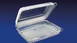 CHC-1073 10×7″ Oblong Clear Hinged Container